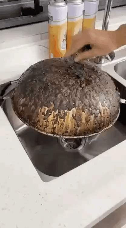 Mousse nettoyante PureFoam