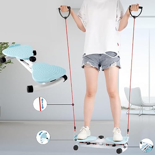 Disque de torsion fitness