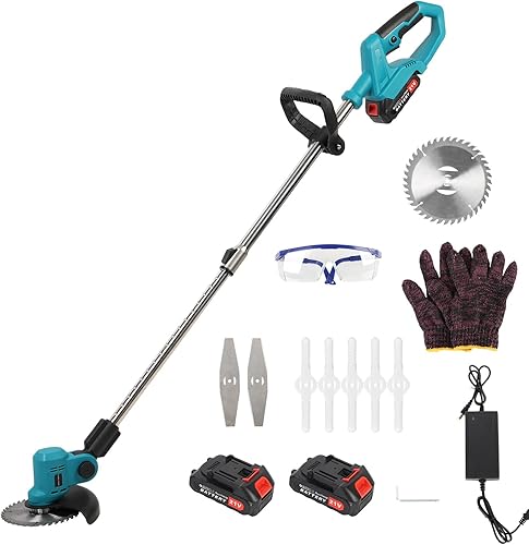Débroussailleuse Professionnelle Sans Fil 24W avec 02 batteries