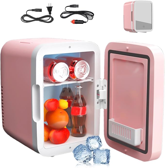 Mini Frigo de Voiture