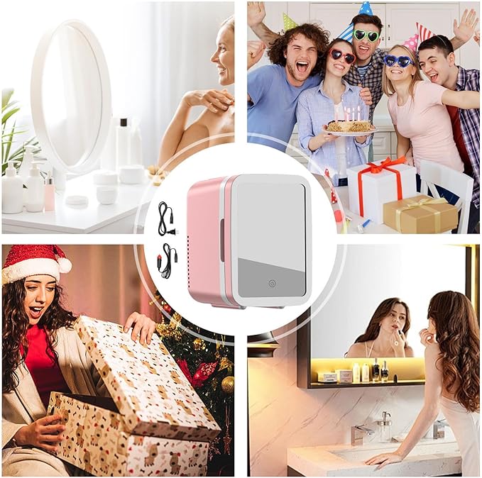 Mini Frigo de Voiture