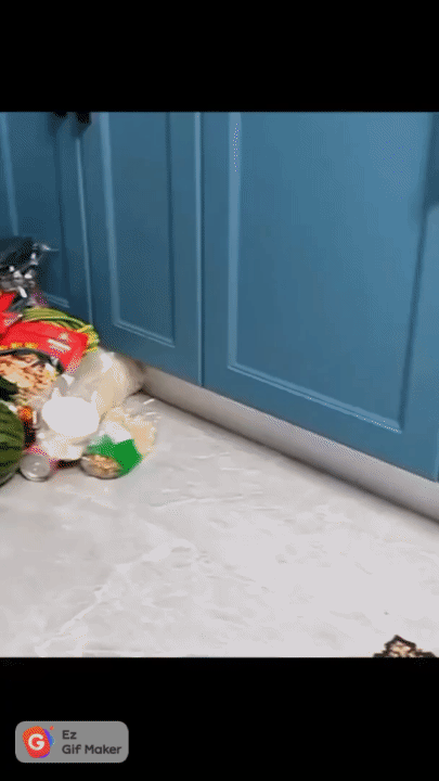 🛒 Chariot de Rangement Rotatif à 05 Étages avec Roulettes