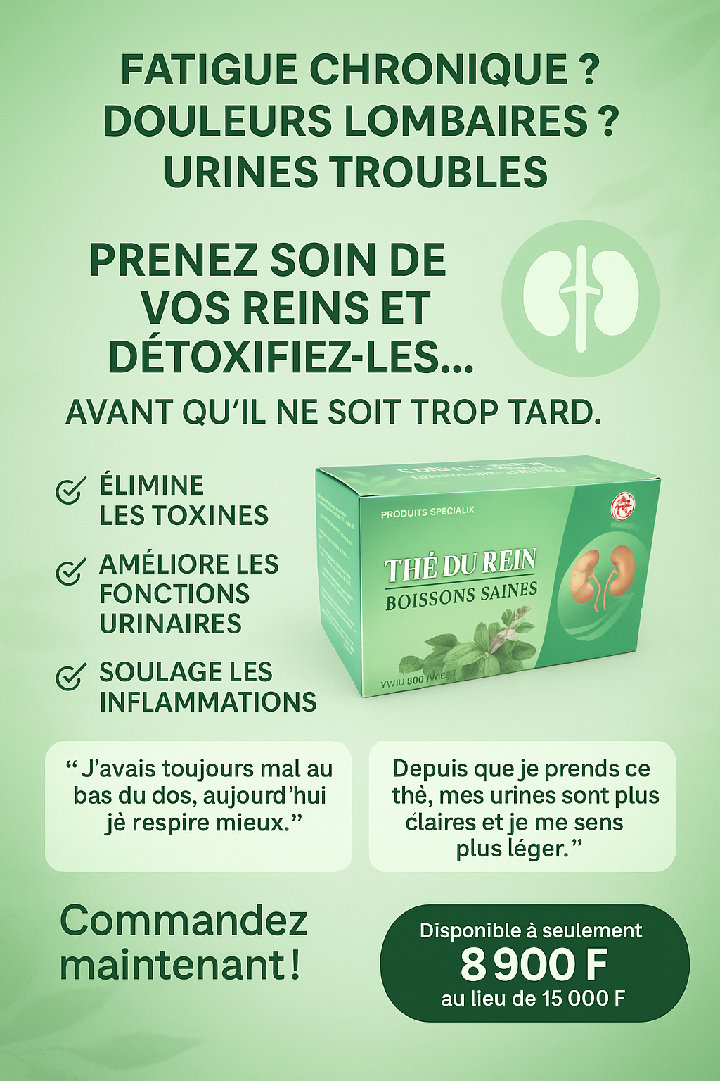 Pack de 20 Thés Détox pour les Reins– Purification & Bien-être Urinaire