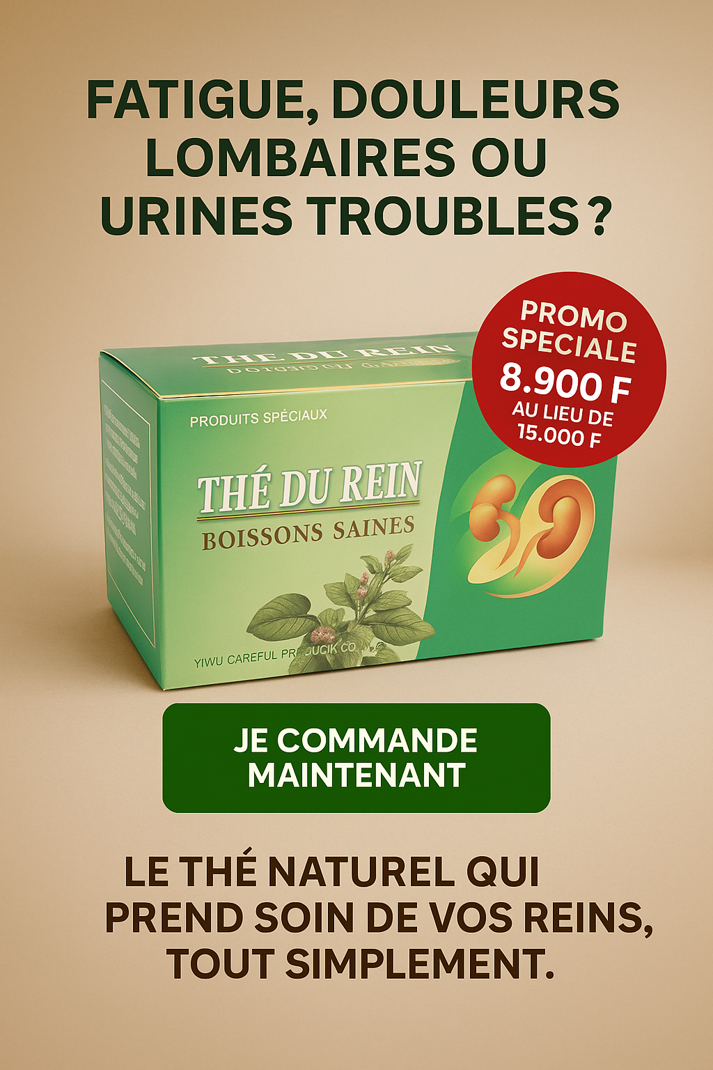 Pack de 20 Thés Détox pour les Reins– Purification & Bien-être Urinaire