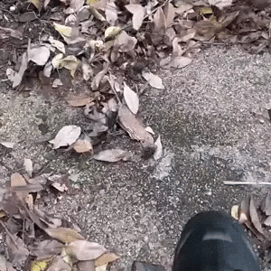 SOUFFLEUR TURBO STORM ⚡🔋 Puissance de 1050 W + autonomie de 60 minutes ! Nettoyage et gonflage en un seul outil